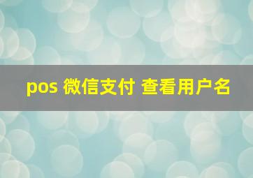 pos 微信支付 查看用户名